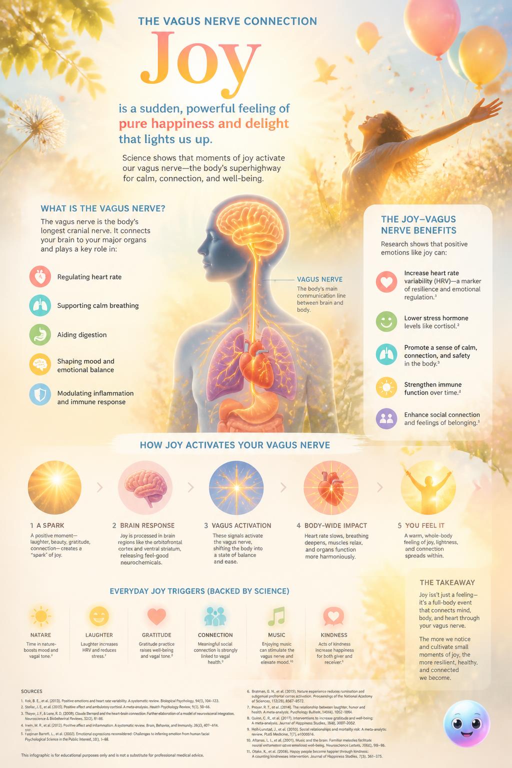 The vagus nerve connection