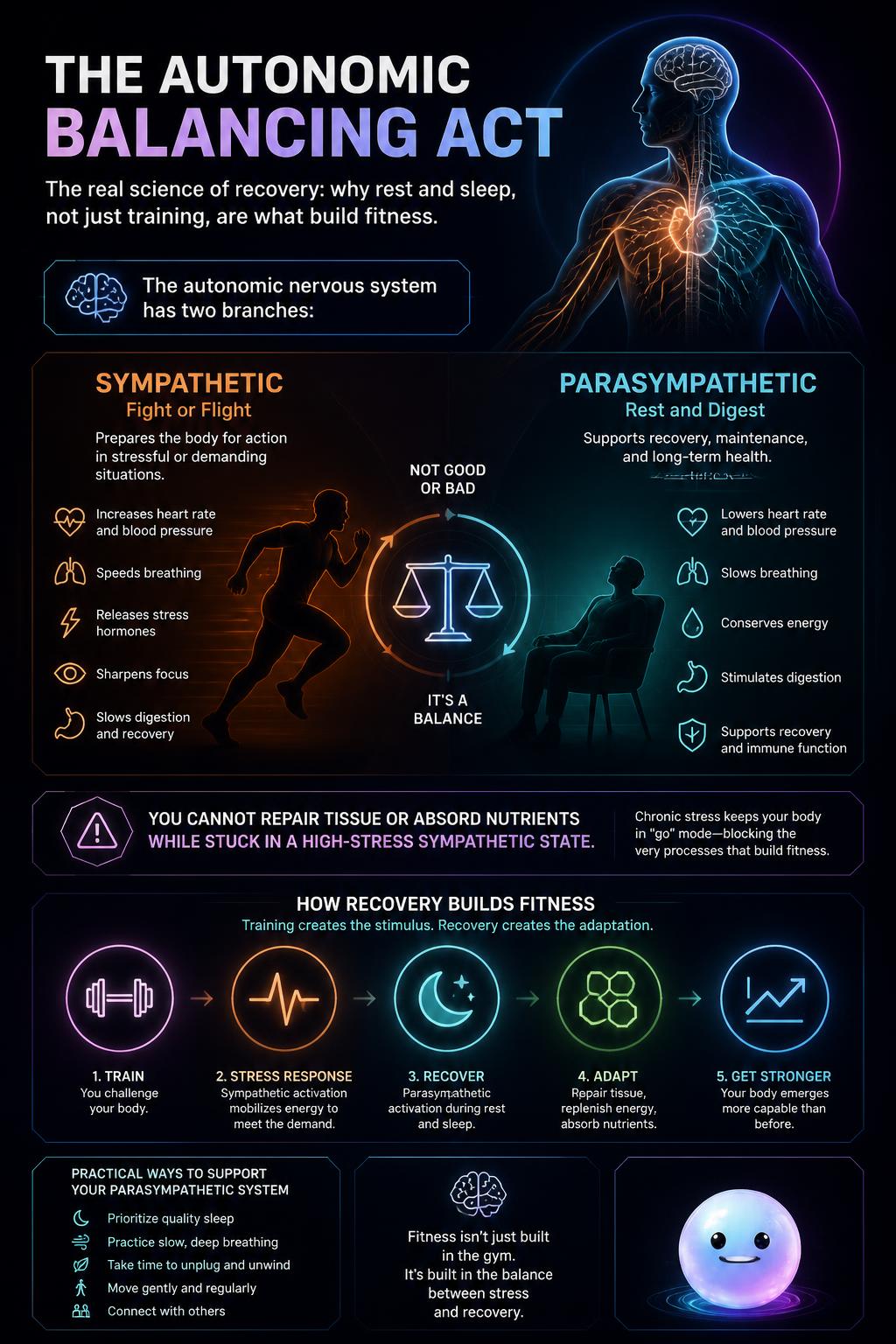 The autonomic balancing act