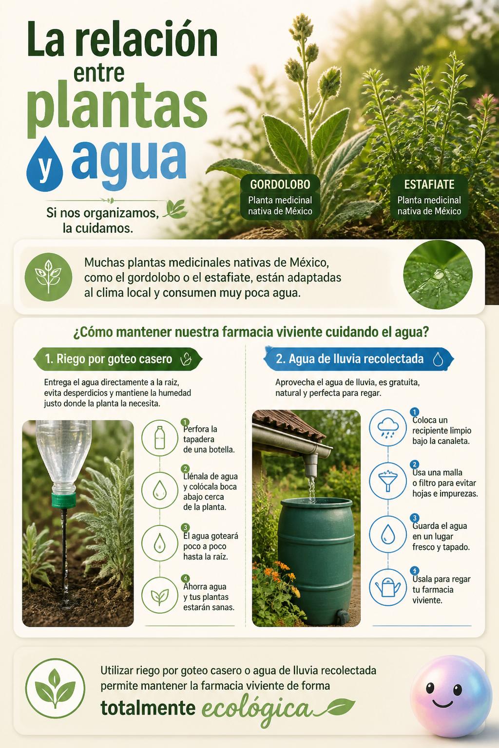 La relación entre plantas y agua