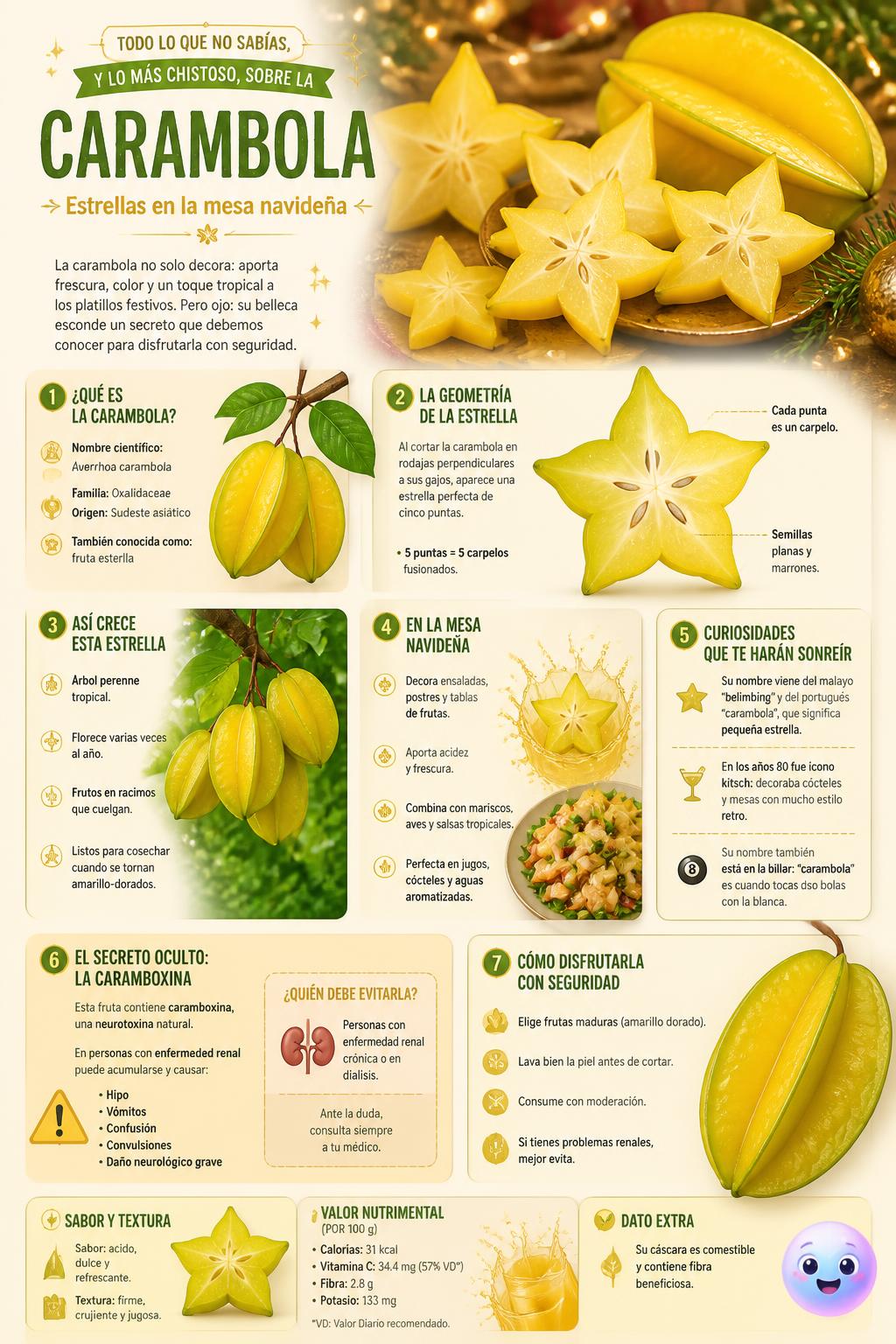 Estrellas en la mesa navideña