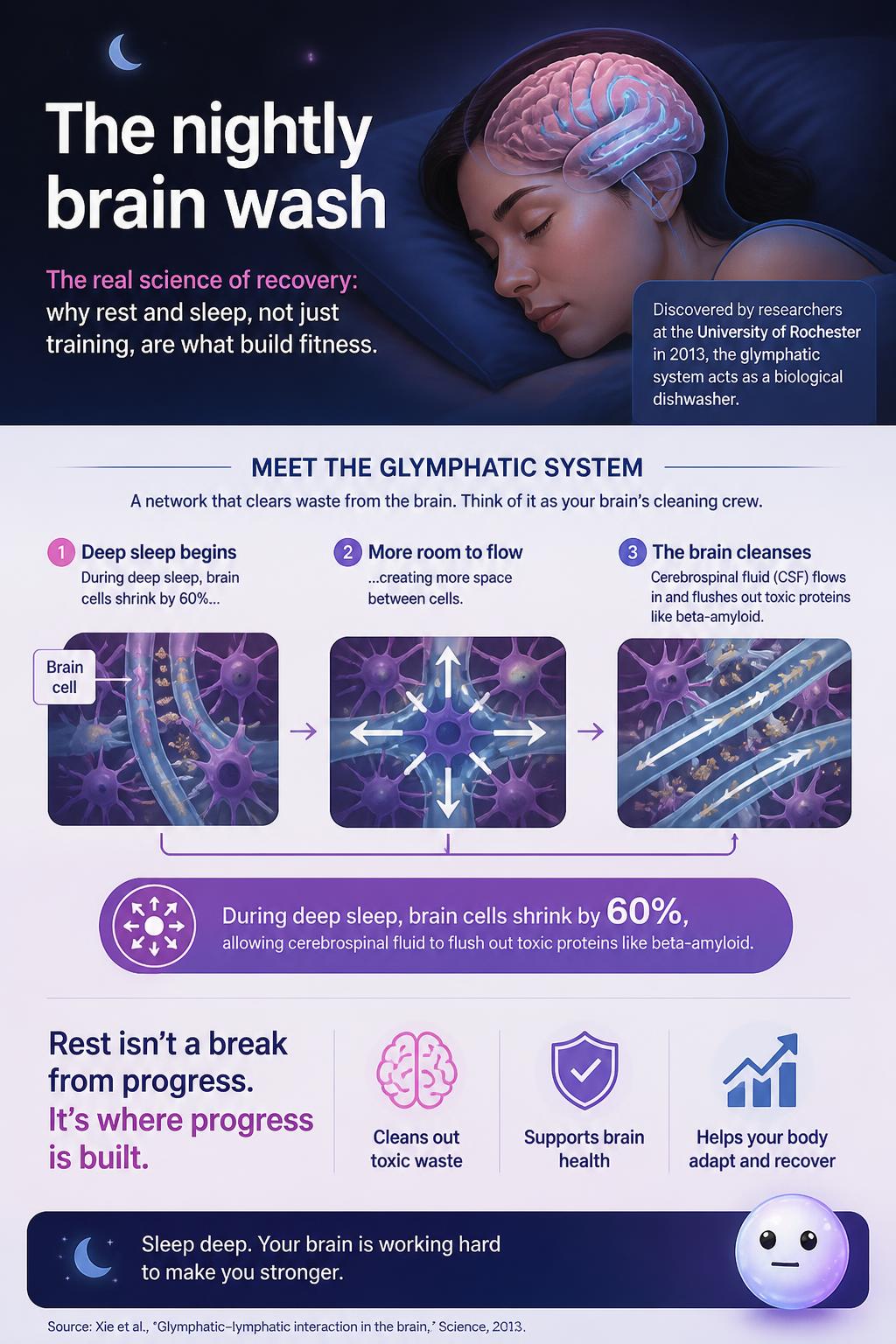 The nightly brain wash