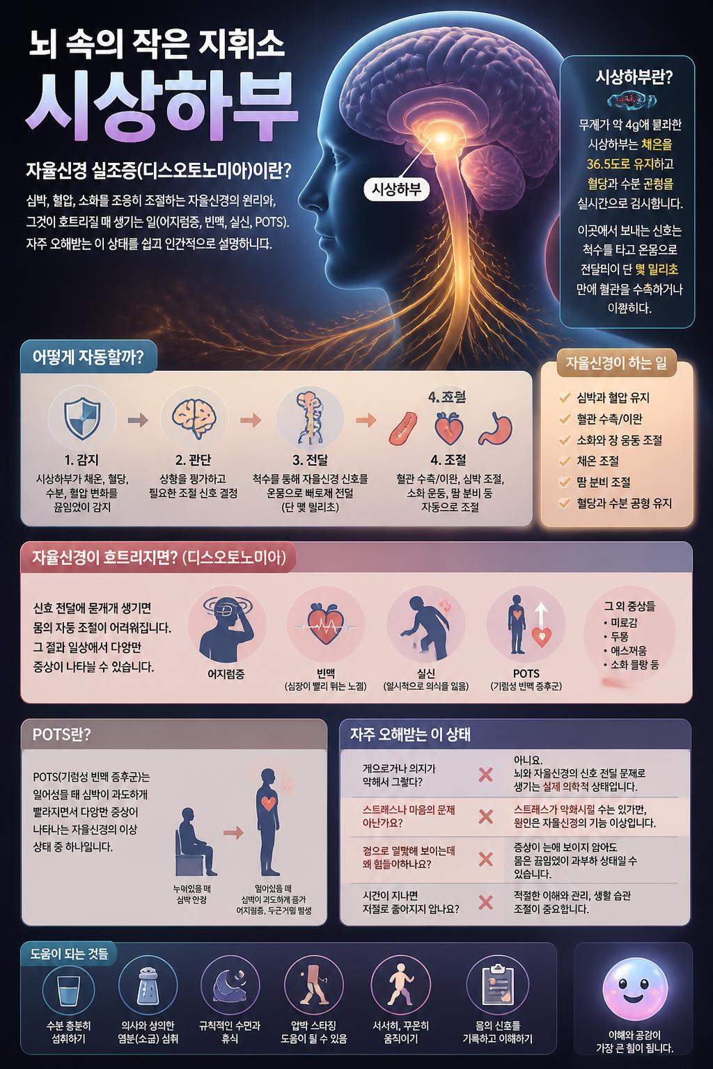 뇌 속의 작은 지휘소 시상하부
