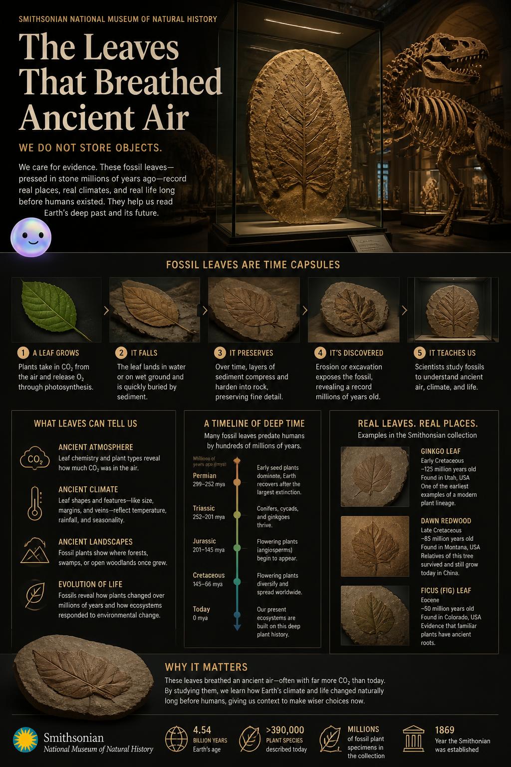 The leaves that breathed ancient air