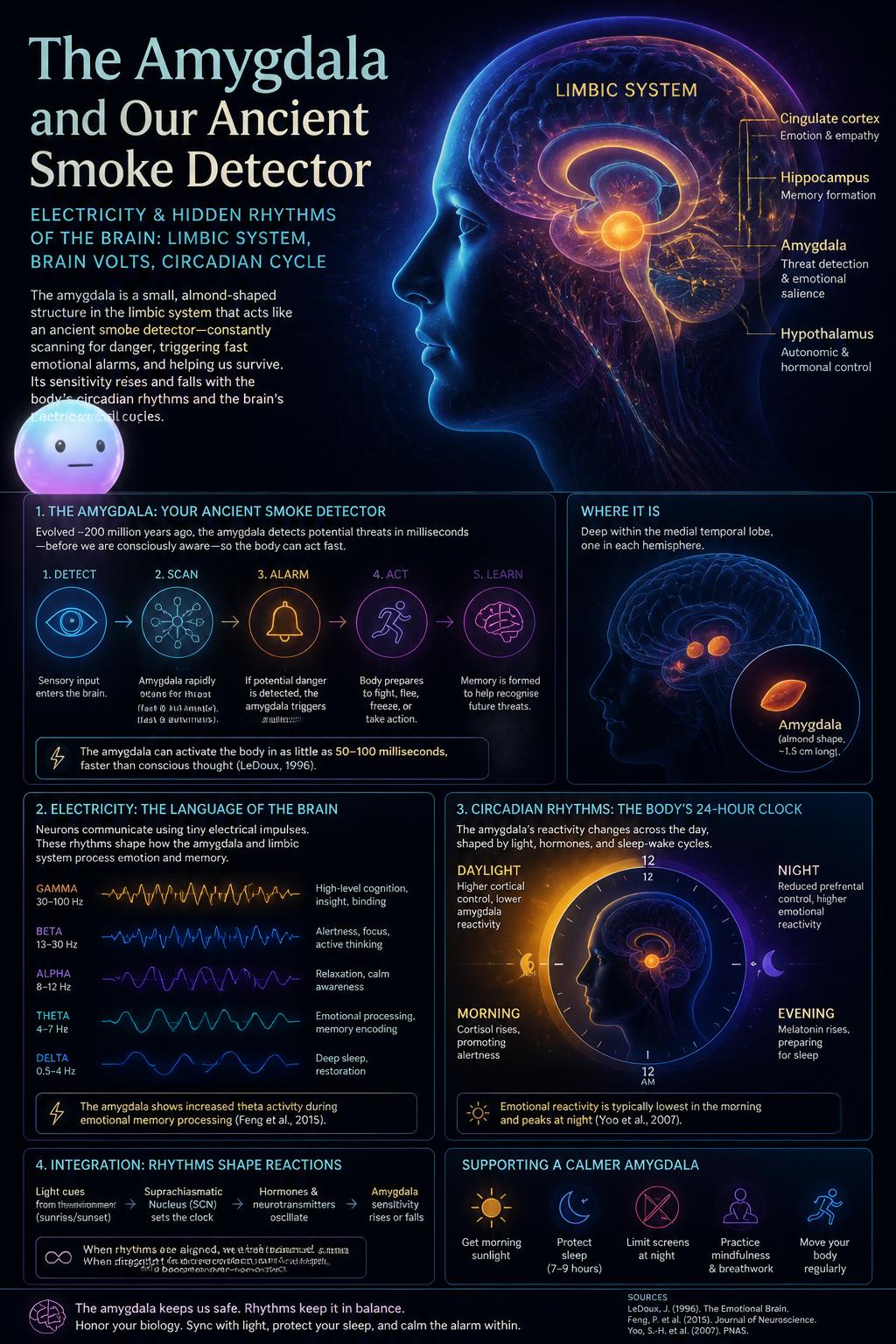 The amygdala and our ancient smoke detector