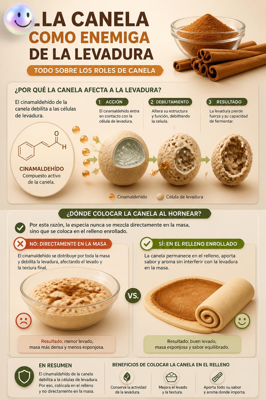 La canela como enemiga de la levadura