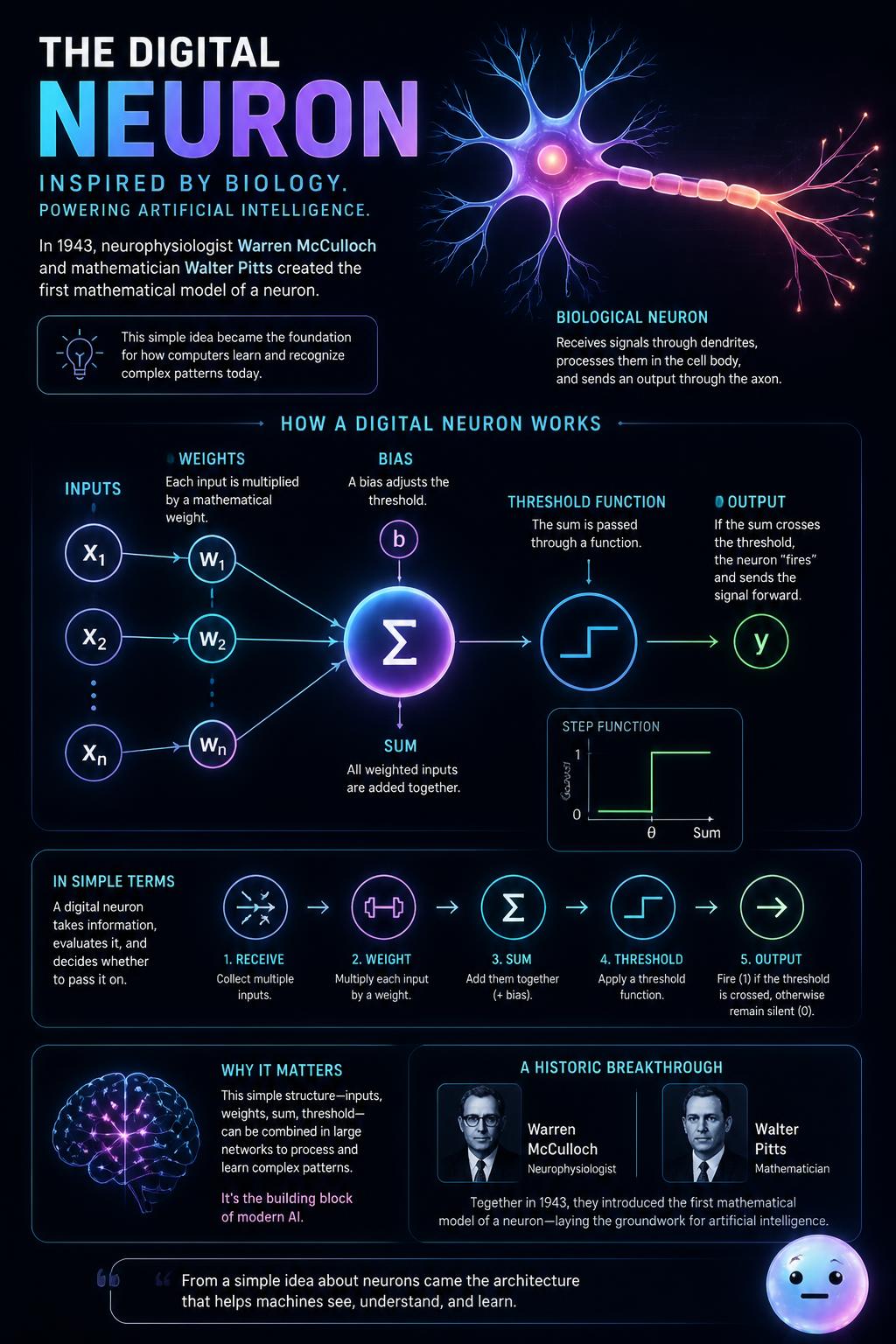 The digital neuron inspired by biology
