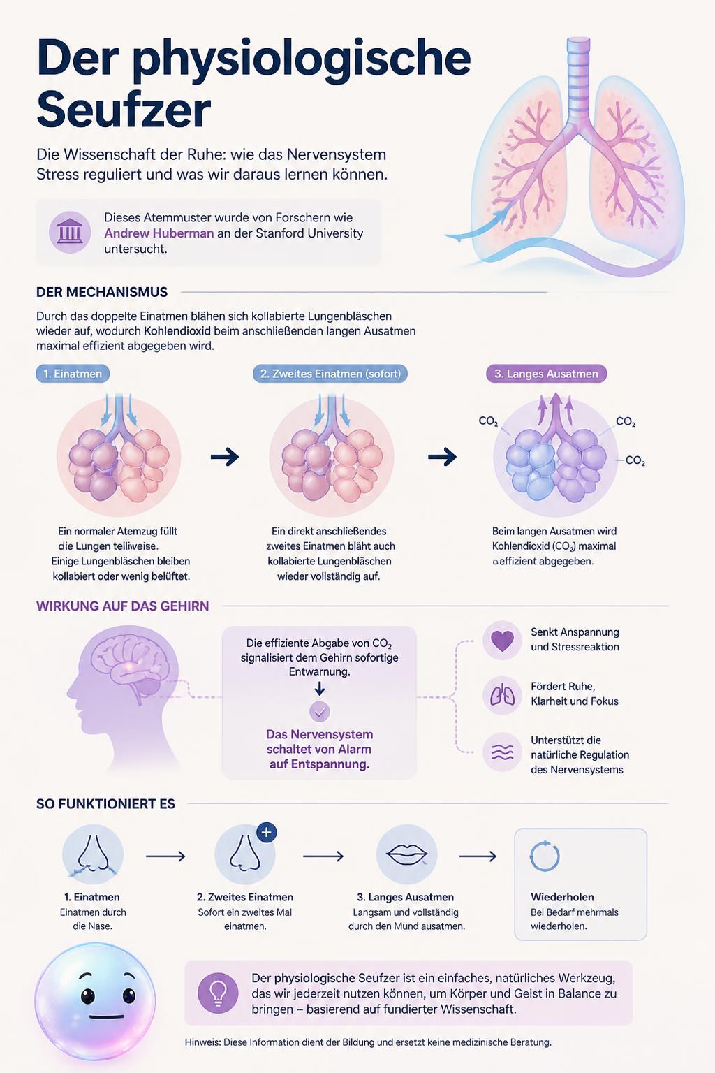 Der physiologische Seufzer