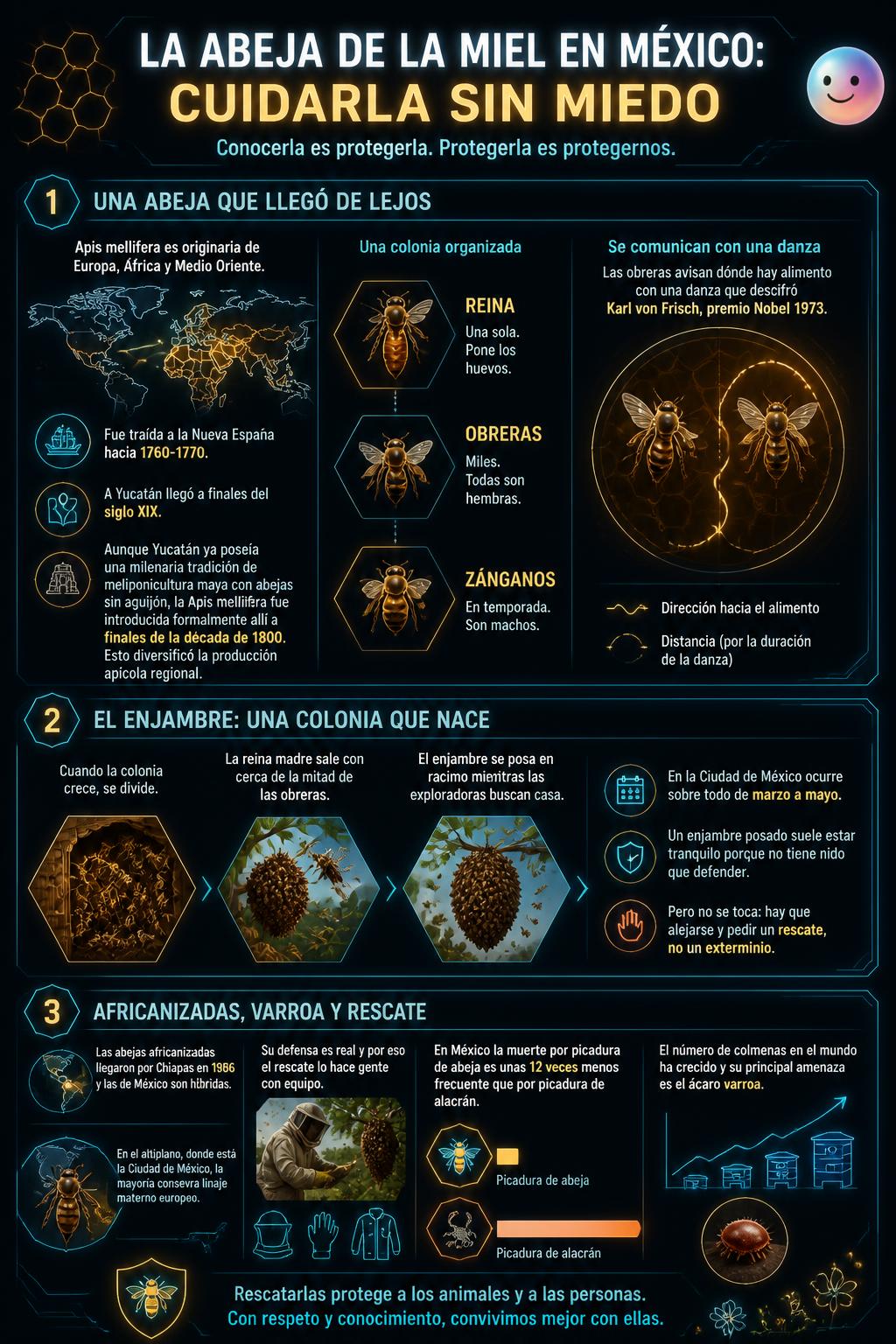 El arribo tardío a Yucatán