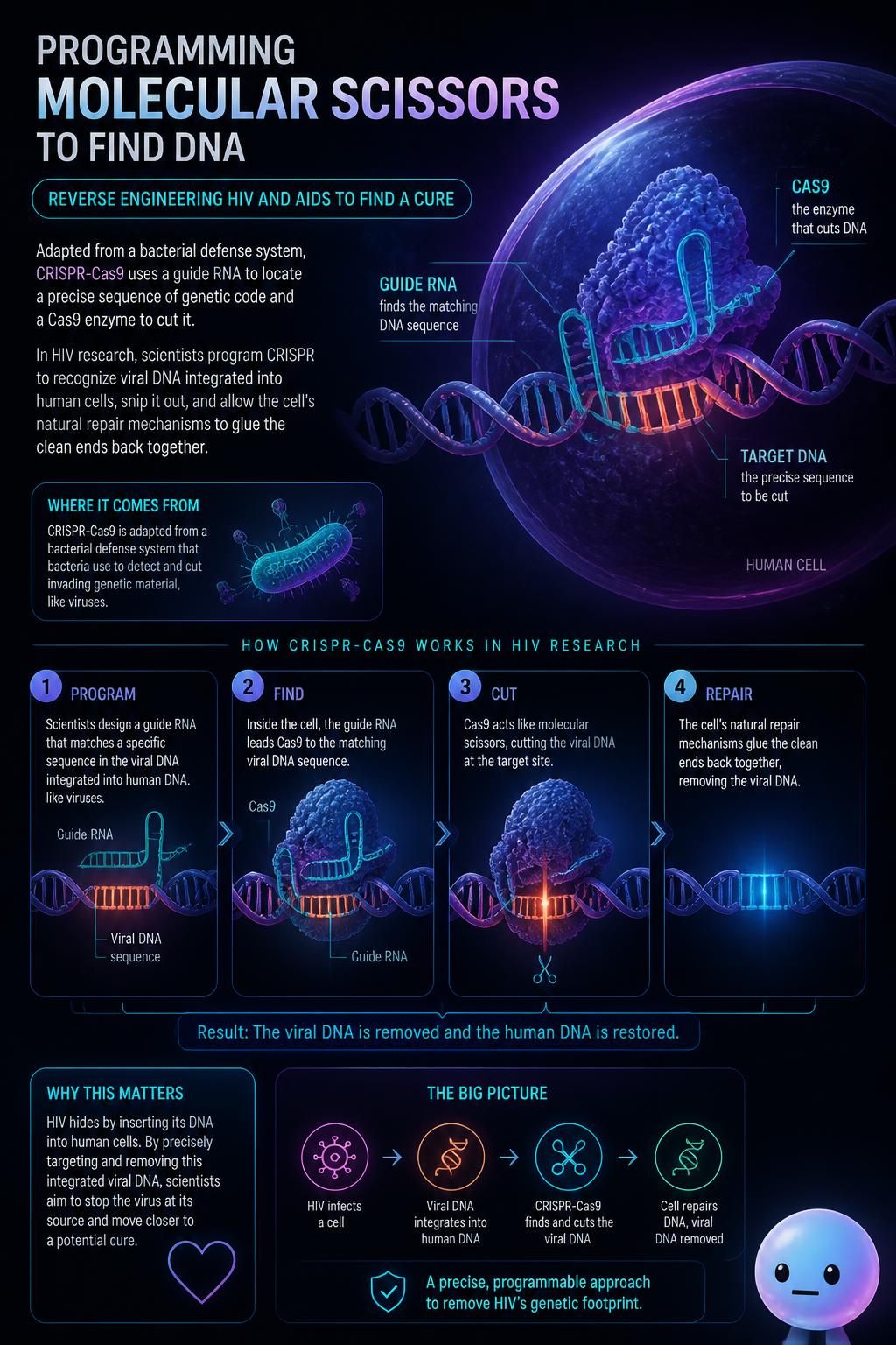 Programming Molecular Scissors to Find DNA