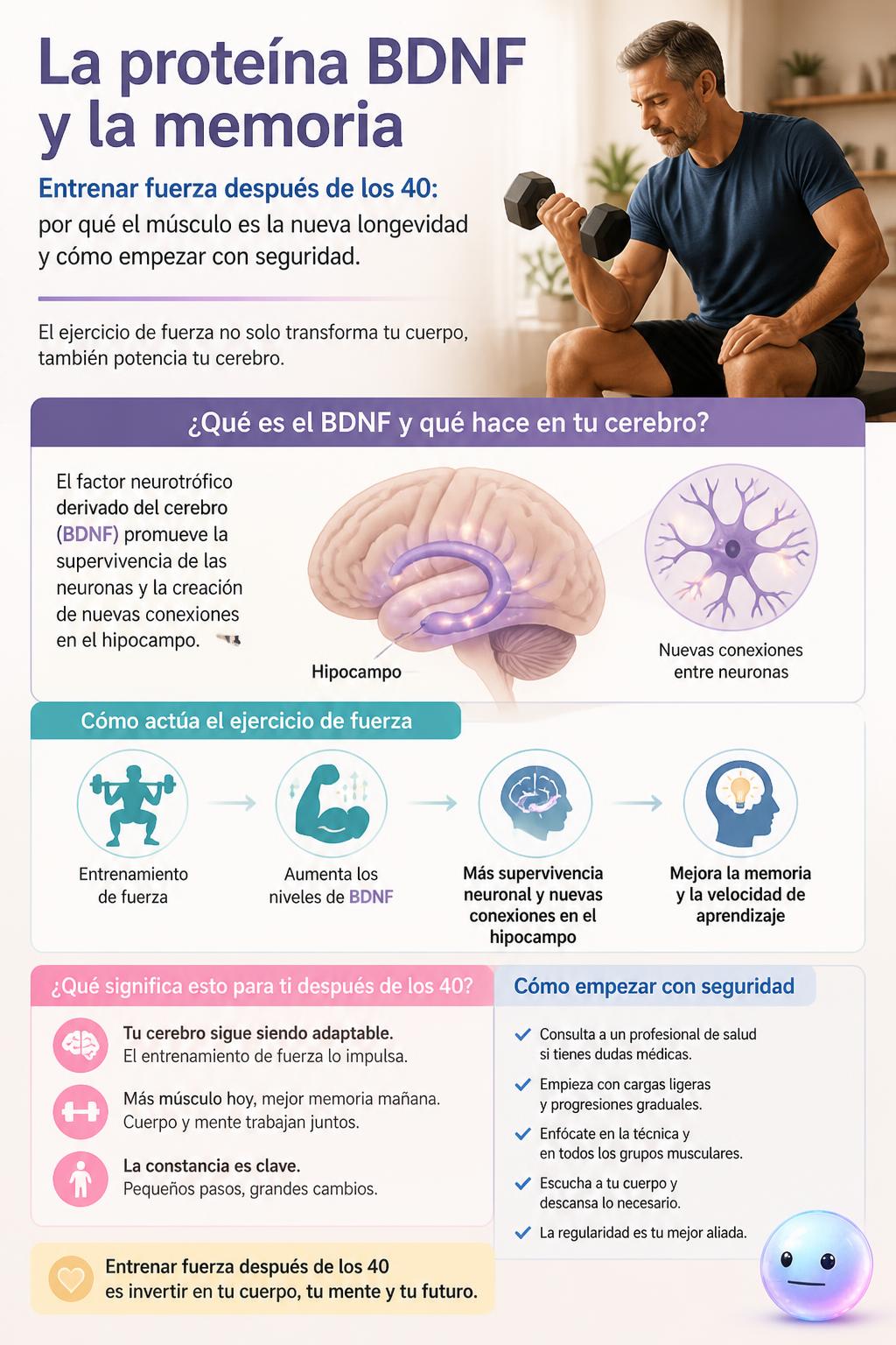 La proteína BDNF y la memoria