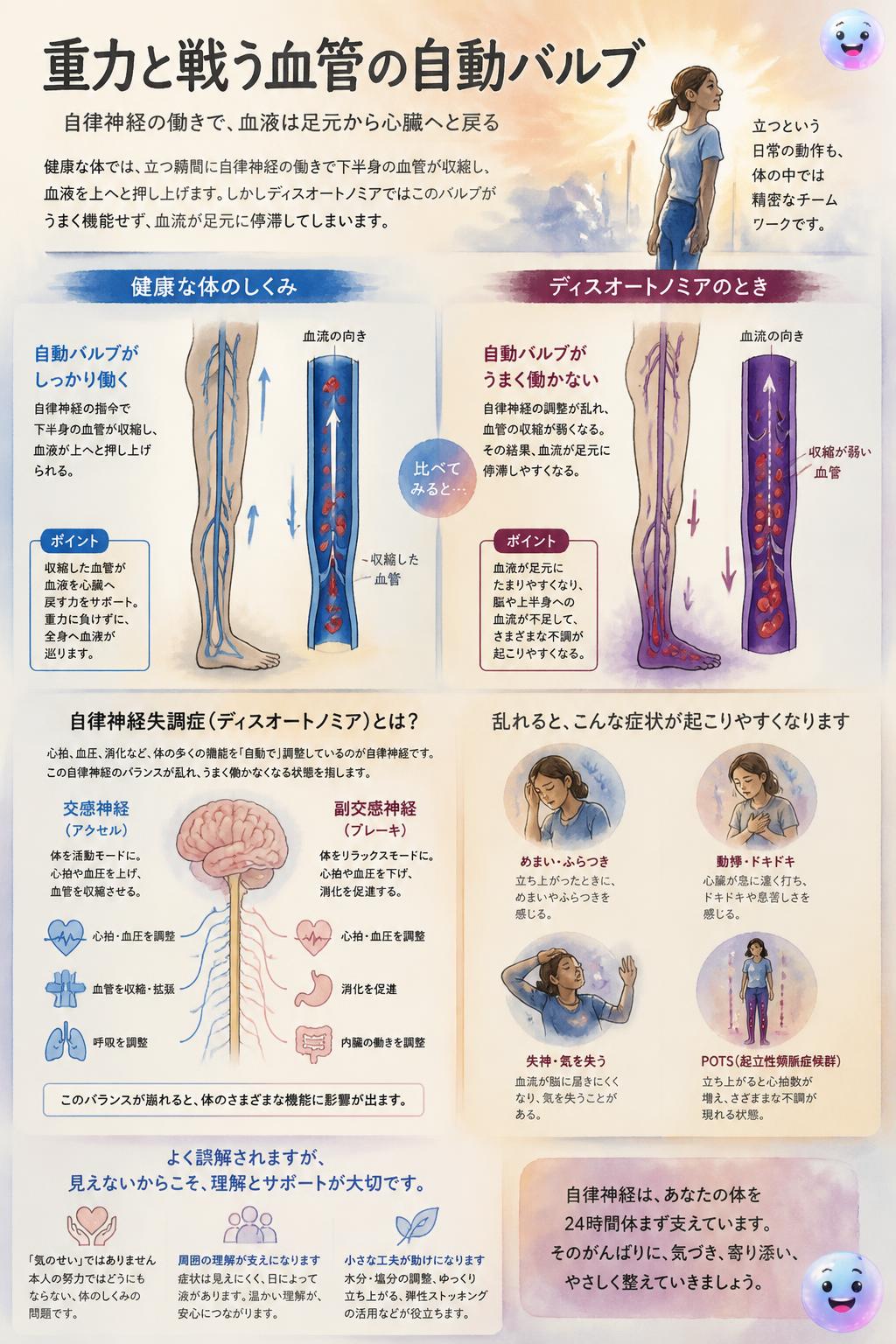 重力と戦う血管の自動バルブ