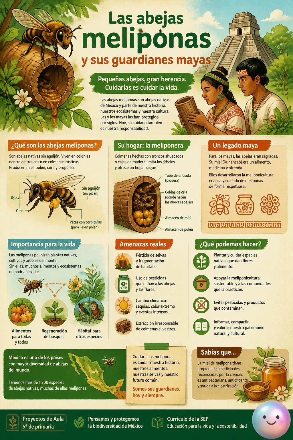 Las abejas meliponas y sus guardianes mayas