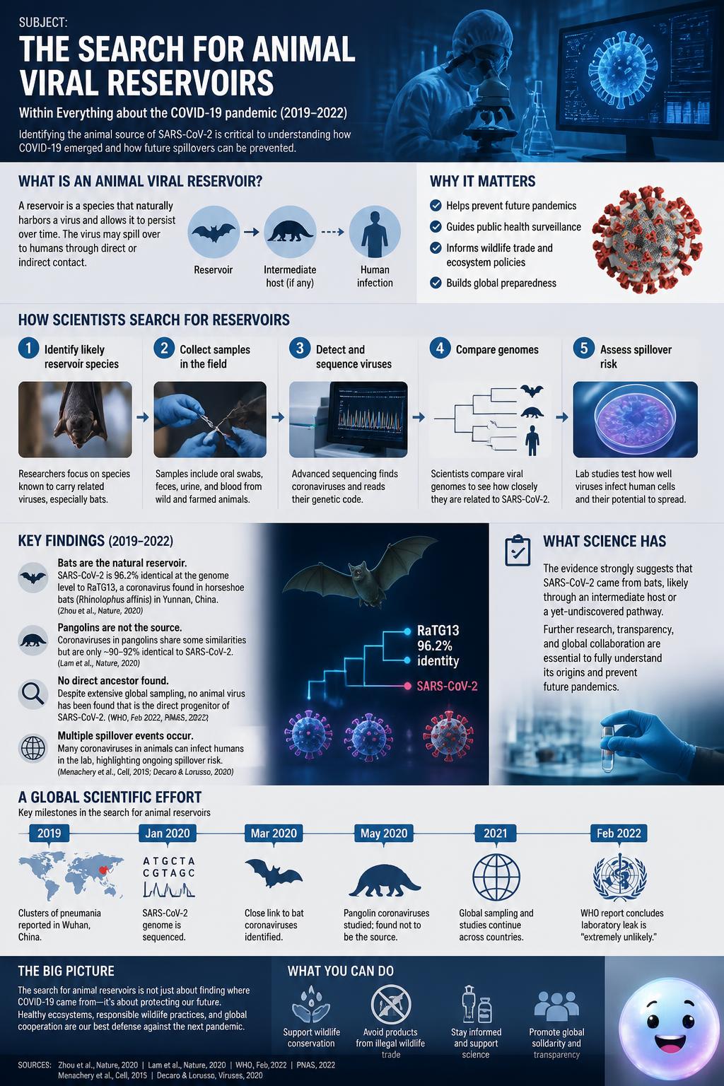 The search for animal viral reservoirs