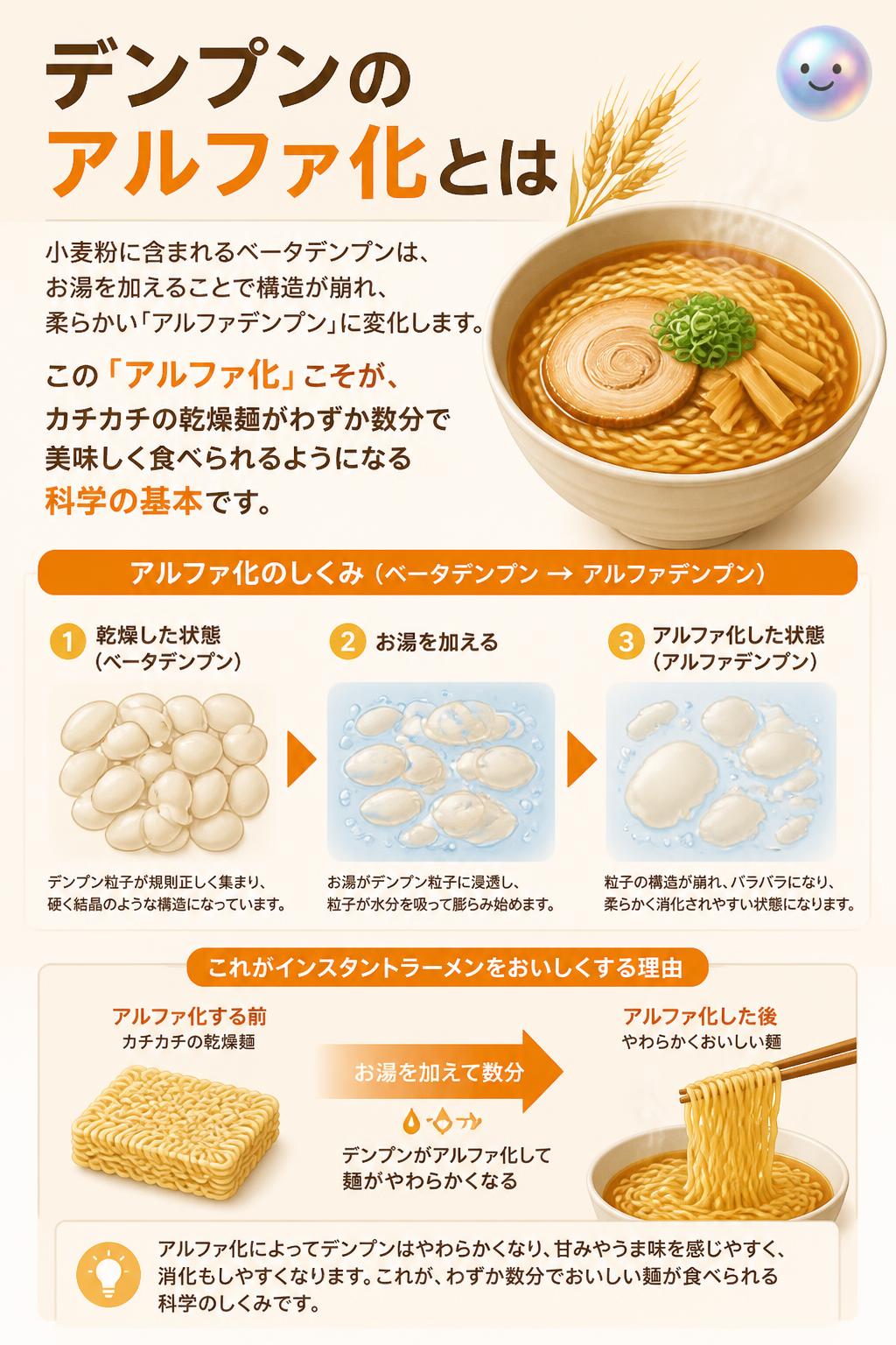 デンプンのアルファ化とは