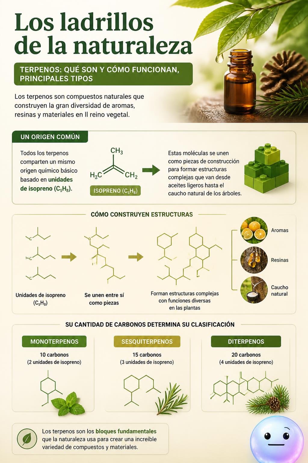 Los ladrillos de la naturaleza