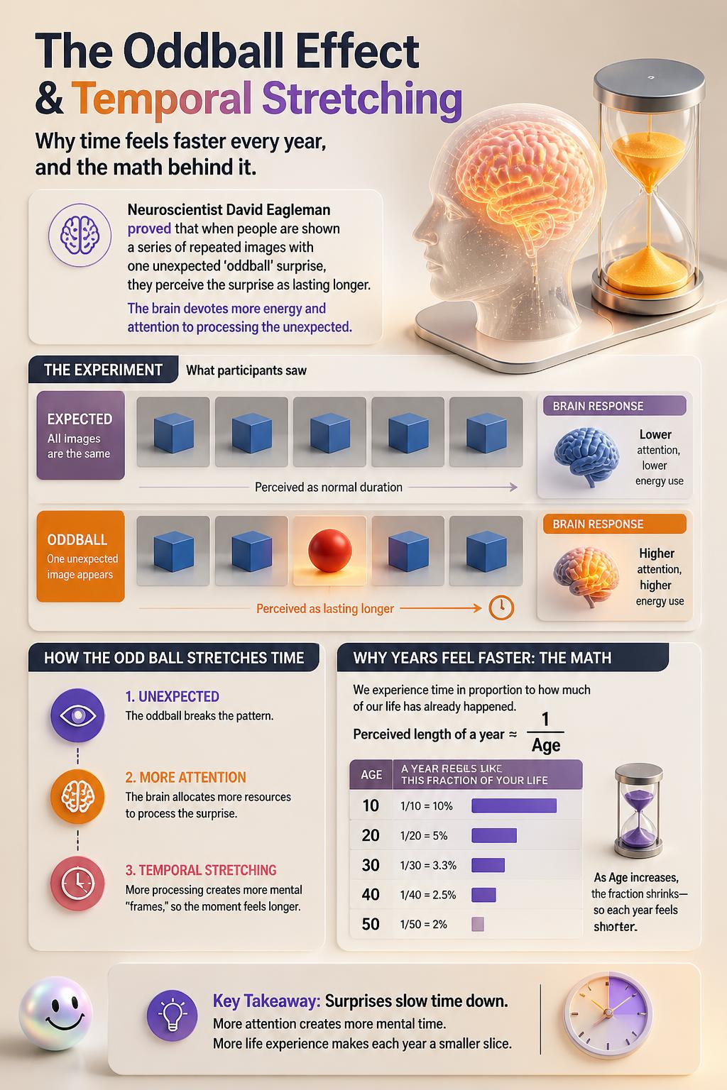 The oddball effect and temporal stretching