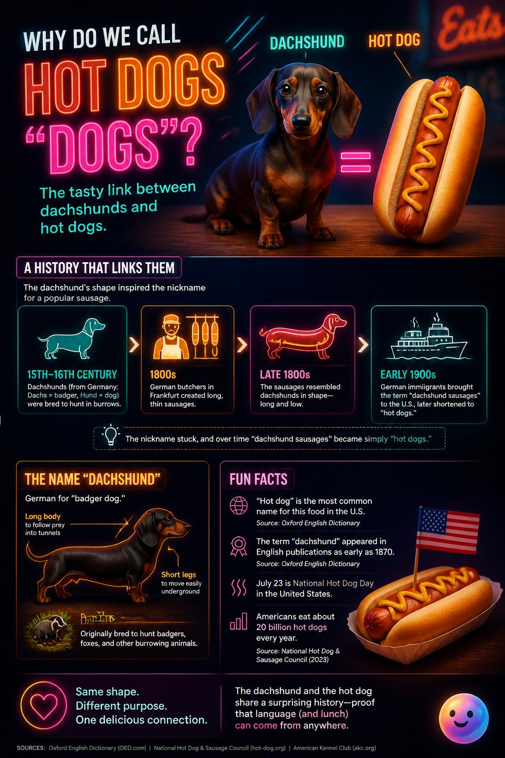 La conexión entre el perro y el hot dog