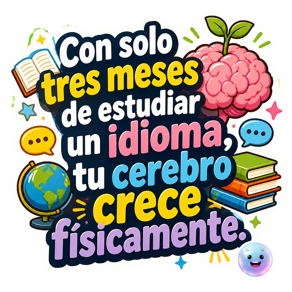Con solo tres meses de estudiar un idioma, tu cerebro crece físicamente.