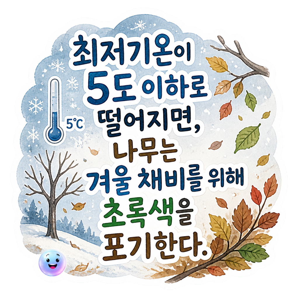 최저기온이 5도 이하로 떨어지면, 나무는 겨울 채비를 위해 초록색을 포기한다.